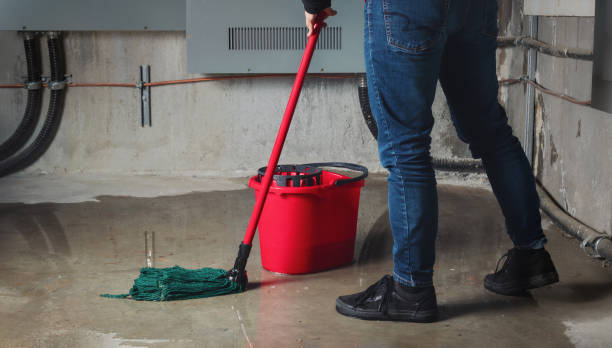 Best Water damage restoration insurance claims  in Wimauma, FL