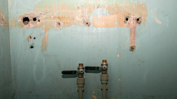 Best Sewage cleanup and water damage restoration  in Wimauma, FL