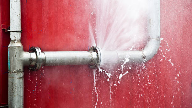 Best Sewage cleanup and water damage restoration  in Wimauma, FL